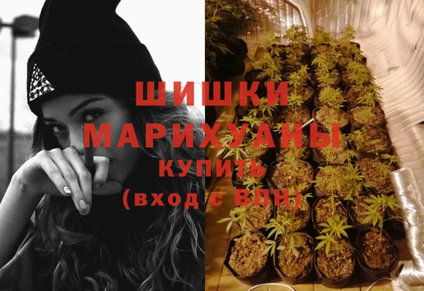 дживик Елизово