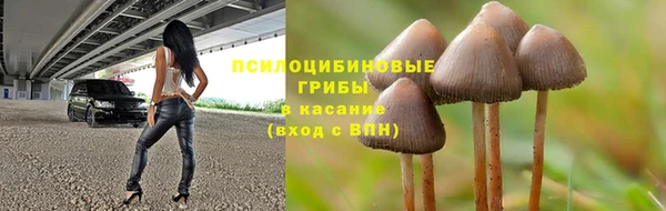 дживик Елизово