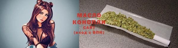 mdpv Ельня