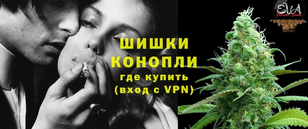 дживик Елизово