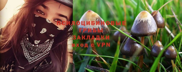 mdpv Ельня