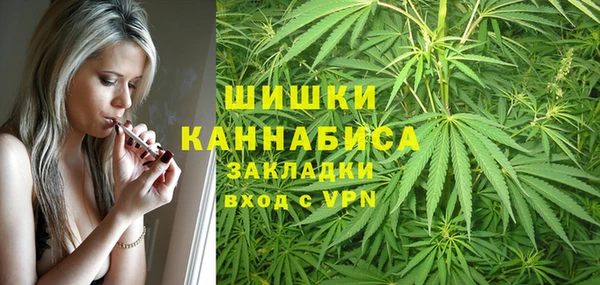 mdpv Ельня